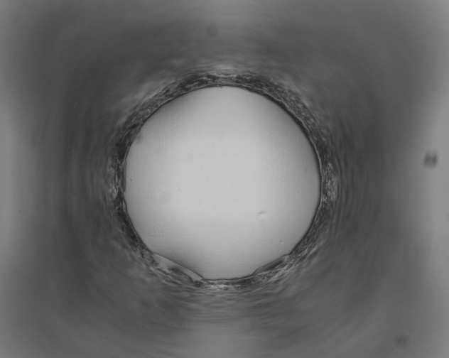 X0000094431253200712061106