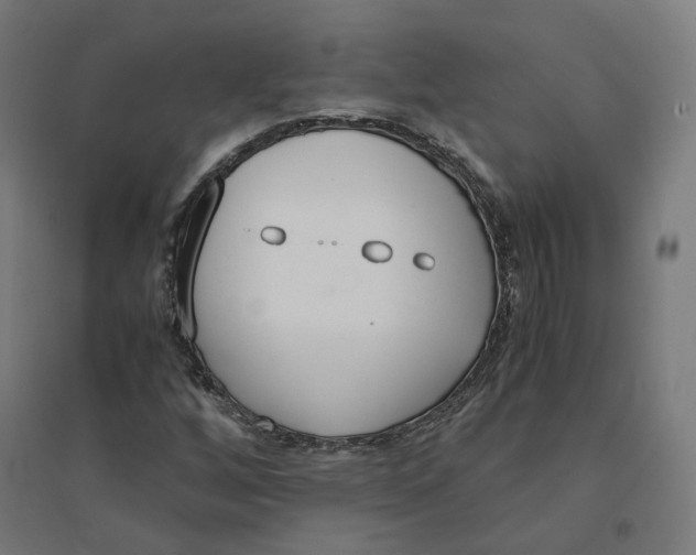 X0000094431256200712061106