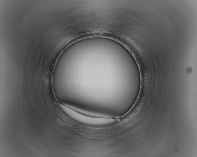 X0000094431257200712061106