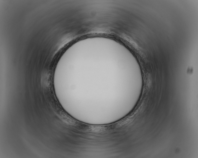 X0000094431258200712061106