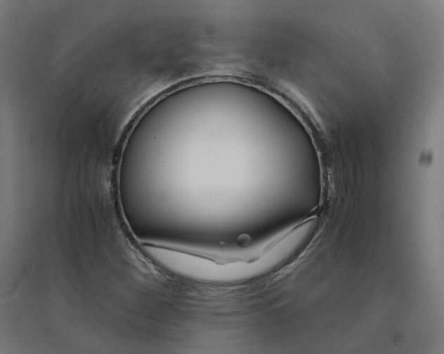 X0000094431260200712061106