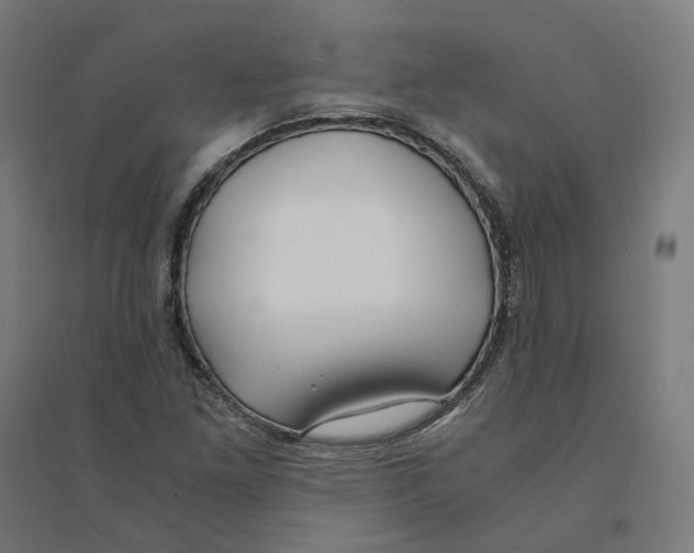 X0000094431261200712061106