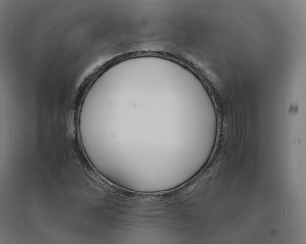 X0000094431262200712061106