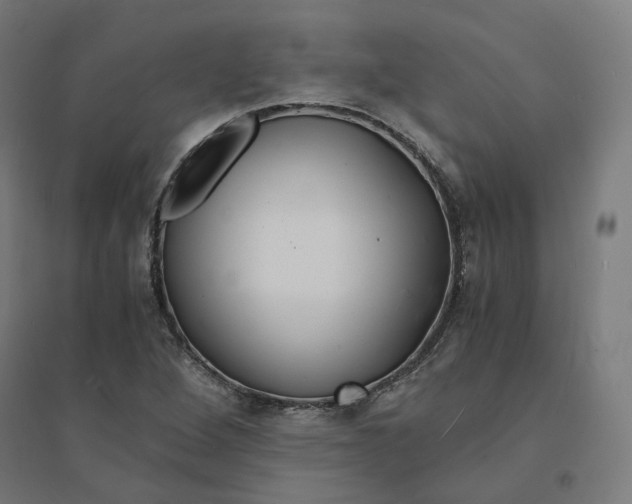 X0000094431264200712061106