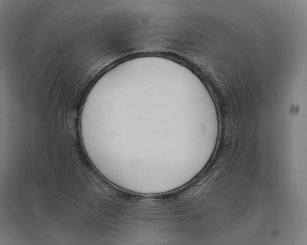 X0000094431265200712061106