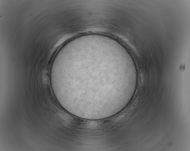 X0000094431266200712061106