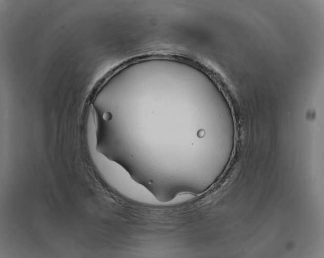 X0000094431267200712061106