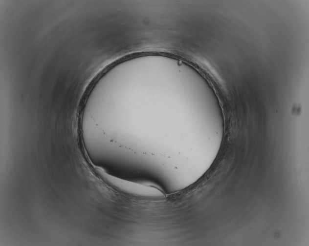 X0000094431268200712061106