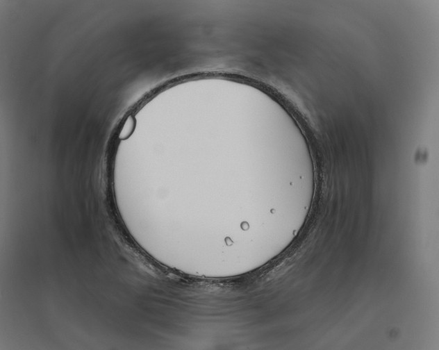 X0000094431270200712061106