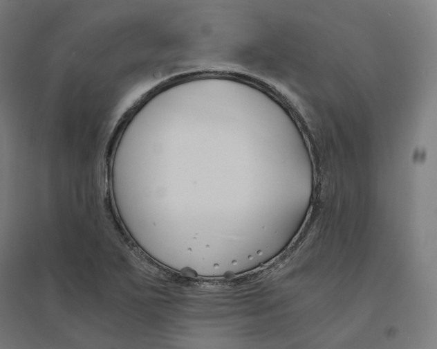 X0000094431271200712061106