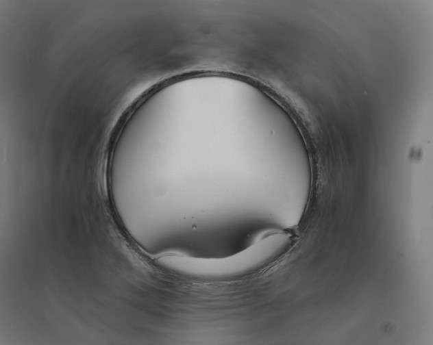 X0000094431272200712061106