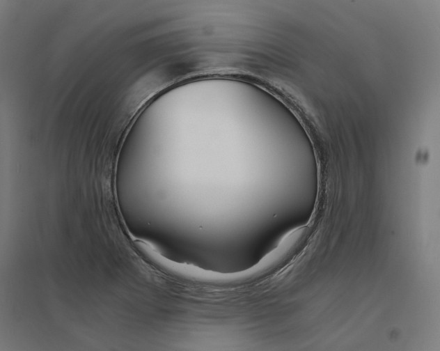 X0000094431273200712061106