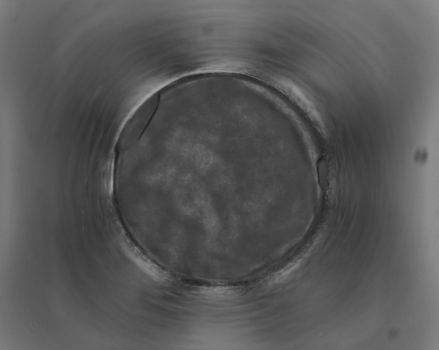 X0000094431276200712061106