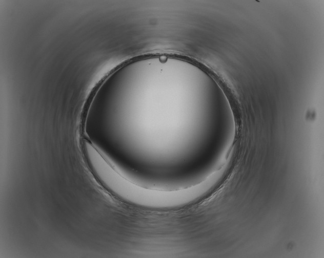 X0000094431277200712061106