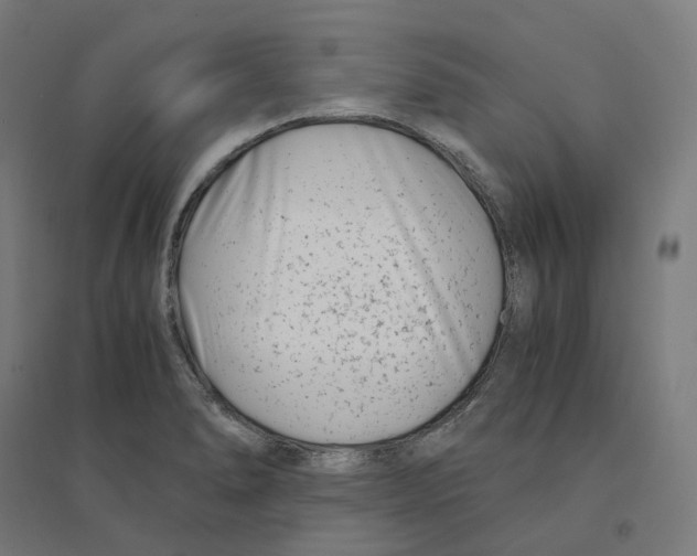 X0000094431278200712061106