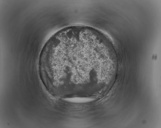 X0000094431279200712061106