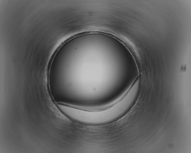 X0000094431280200712061106