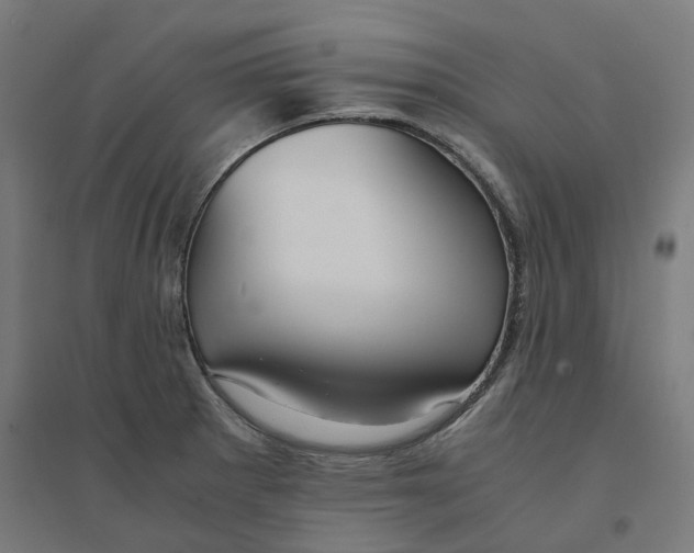 X0000094431281200712061106