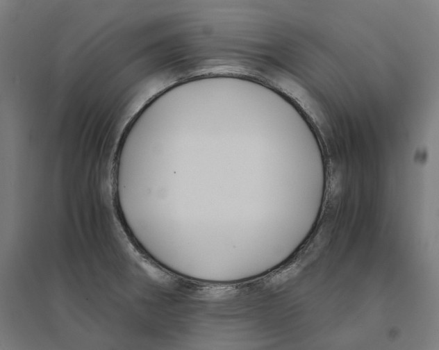 X0000094431282200712061106