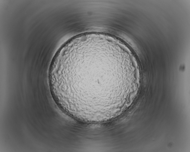 X0000094431283200712061106