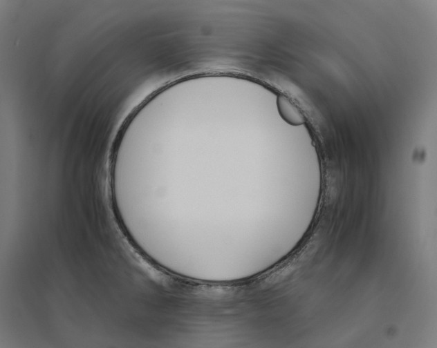 X0000094431286200712061106