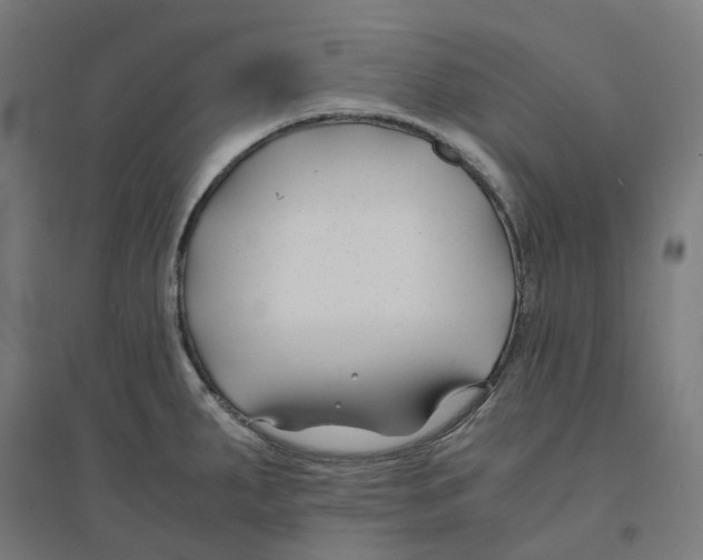 X0000094431287200712061106