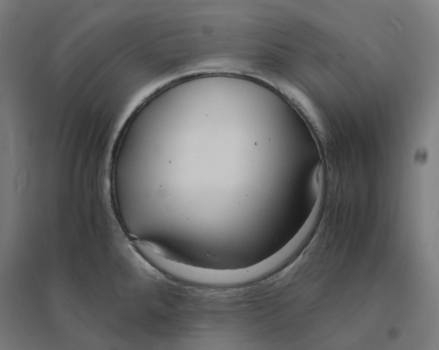 X0000094431288200712061106