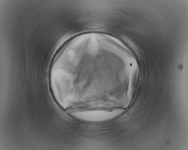 X0000094431291200712061106