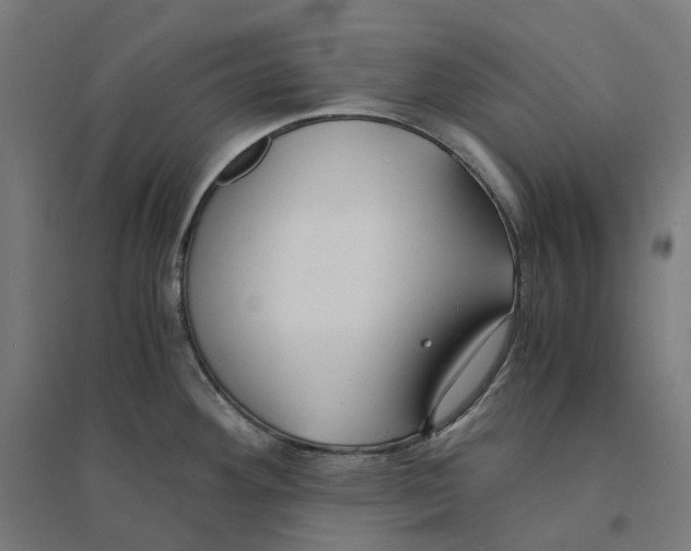 X0000094431292200712061106