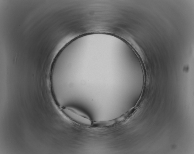 X0000094431293200712061105