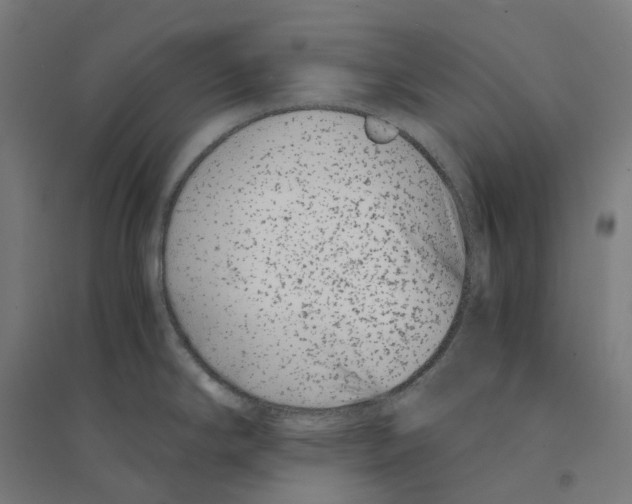 X0000094431294200712061105