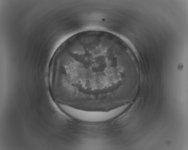 X0000094431295200712061105