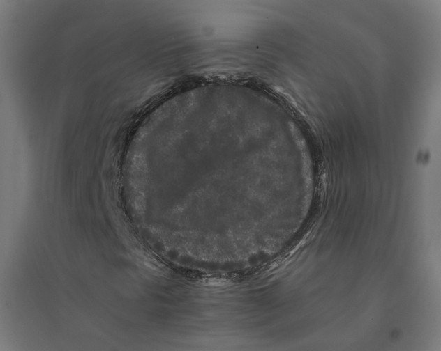 X0000094431297200712061105