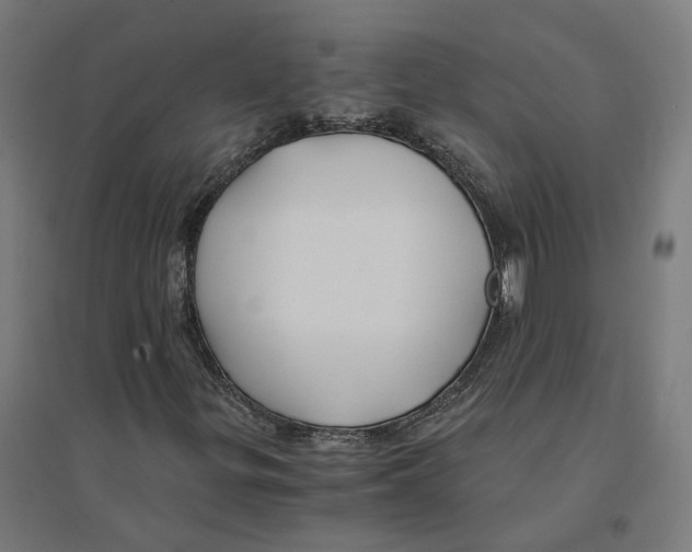 X0000094431299200712061105