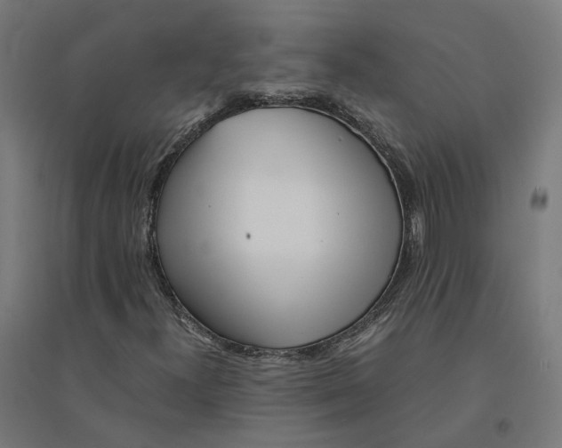 X0000094431300200712061105