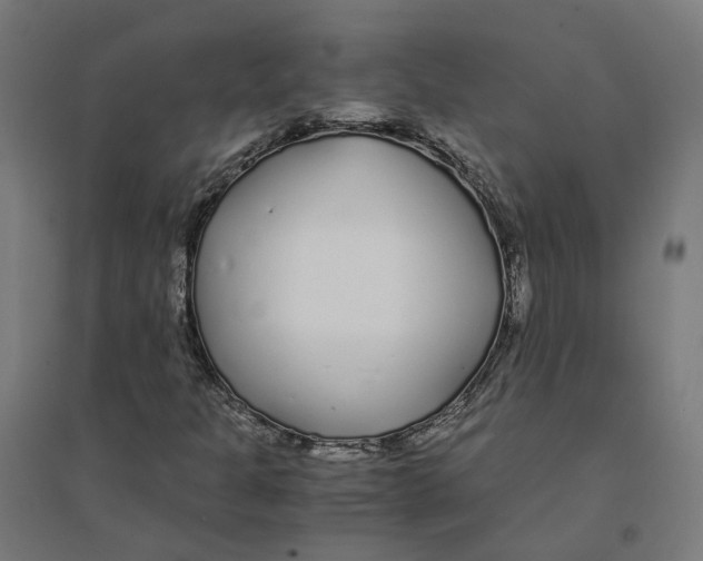 X0000094431301200712061105