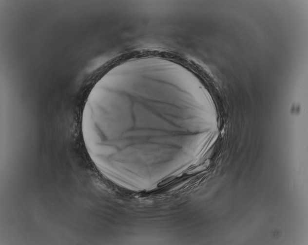 X0000094431303200712061105