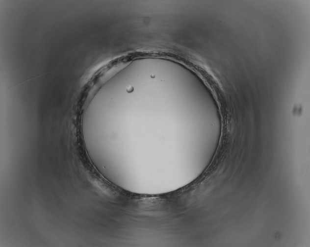 X0000094431304200712061105