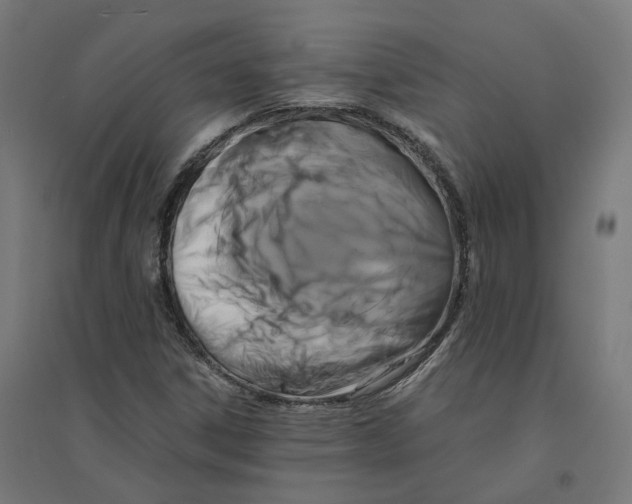 X0000094431306200712061105