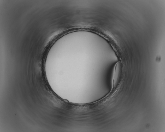 X0000094431307200712061105