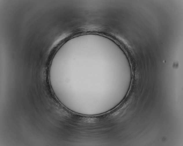 X0000094431309200712061105