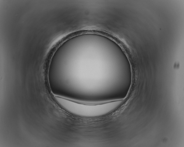 X0000094431311200712061105