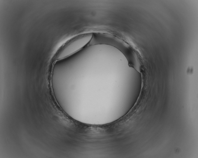 X0000094431312200712061105