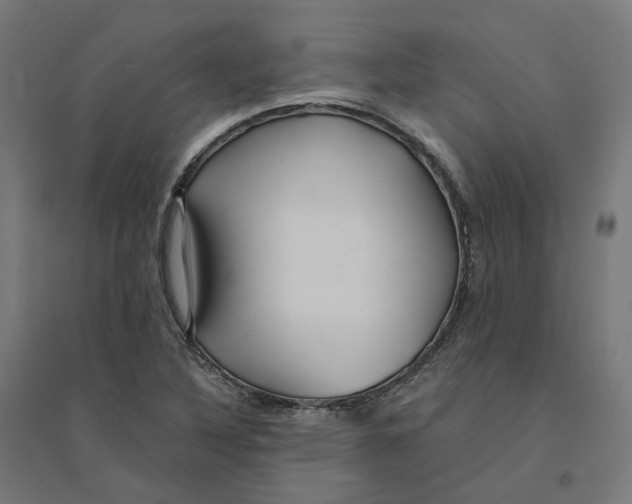 X0000094431316200712061105