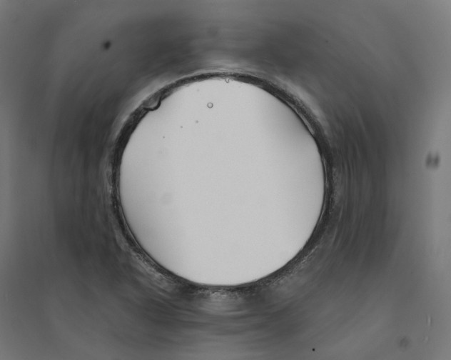 X0000094431318200712061105