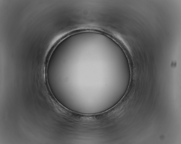 X0000094431320200712061105