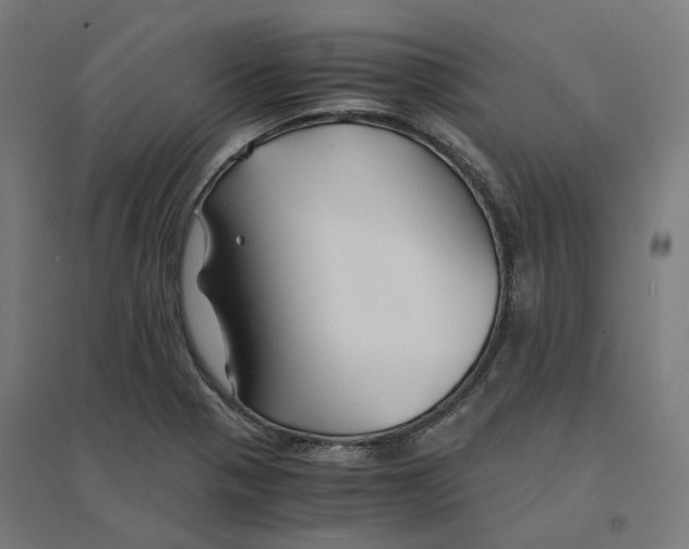 X0000094431321200712061105