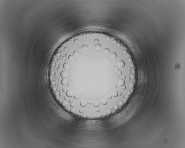 X0000094431322200712061105