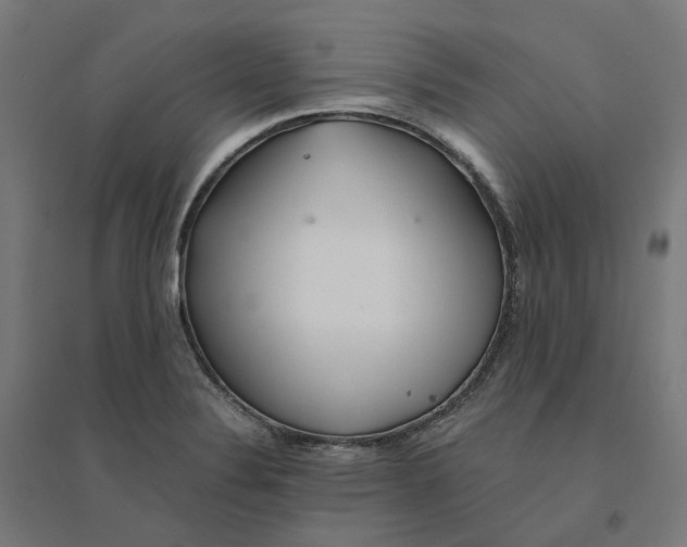 X0000094431324200712061105