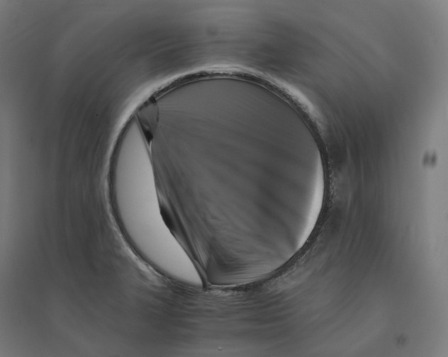 X0000094431327200712061105